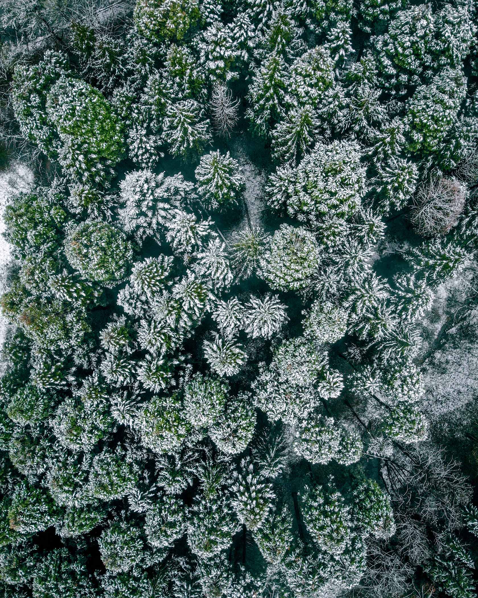 Vågsenterets digitale julekalender